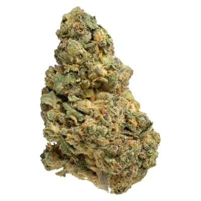 Pepe PAPAYA POWER - Hybrid