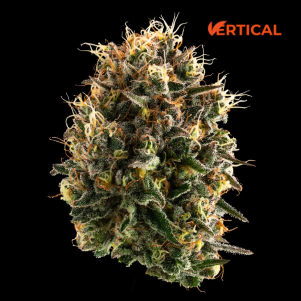 Vertical Cannabis