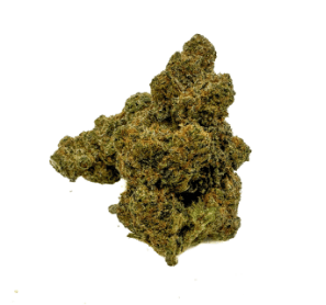 Gold Rush Premium Extracts Popcorn 7g | Gold Rush Horchata
