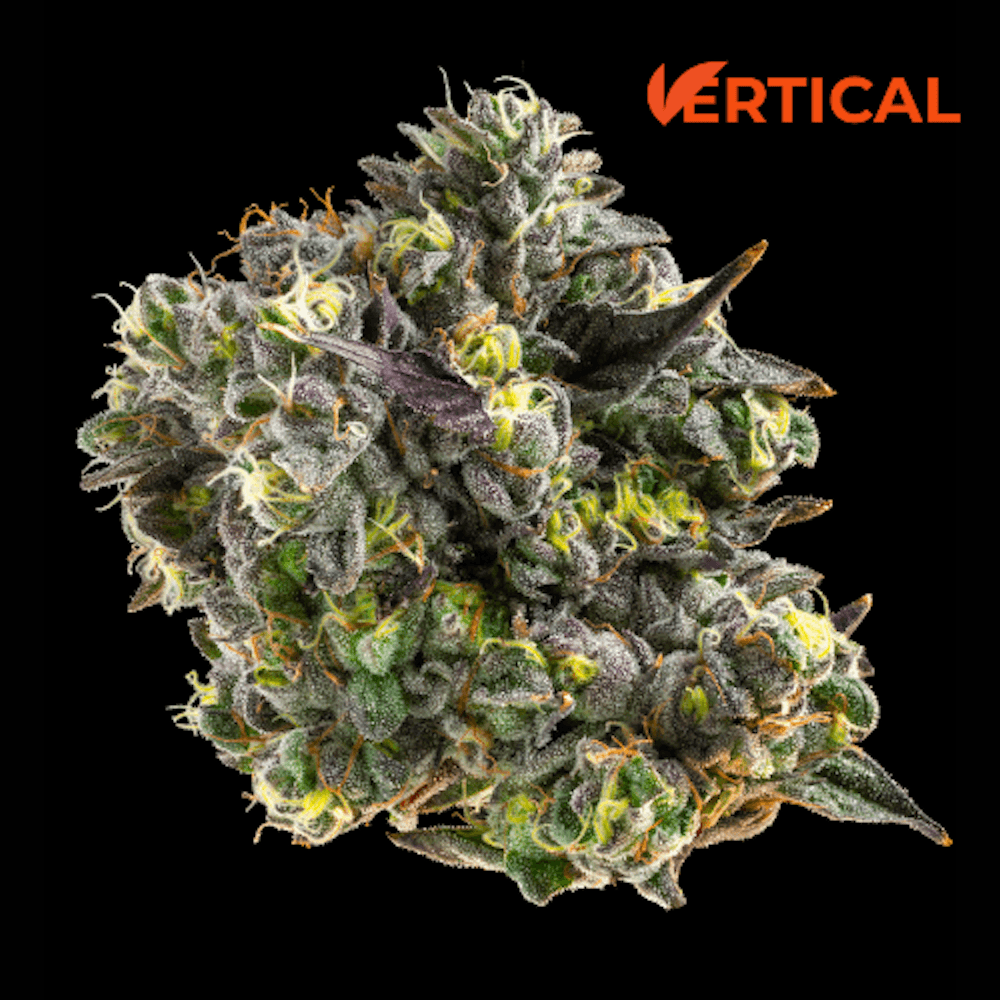 Vertical Cannabis LA Kush Cake