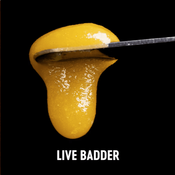 Vivid Papaya Juice Live Badder | 1g