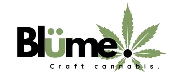 BLUME Blume: Now N Laterz