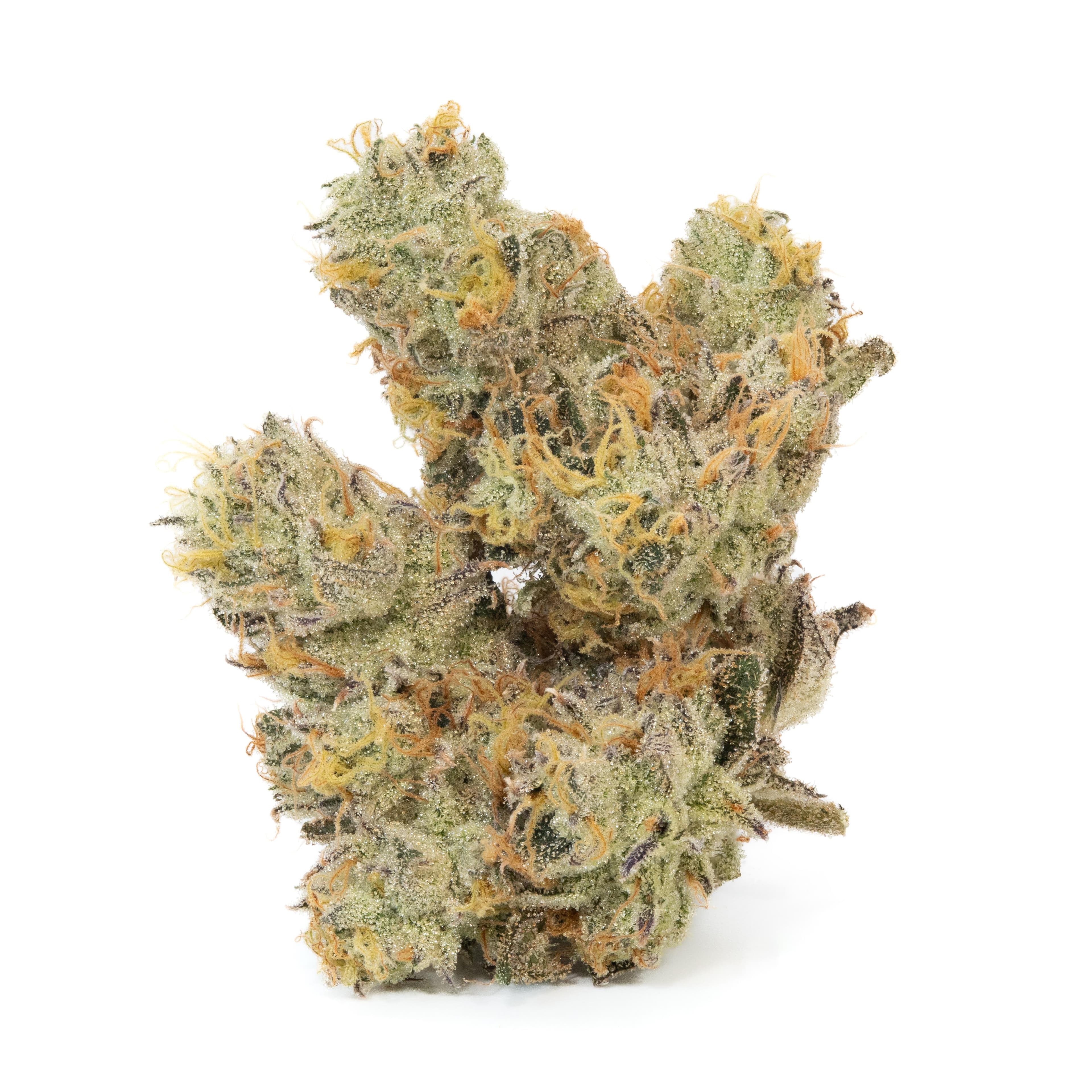 Notorious MELTED STRAWBERRIES - HYBRID