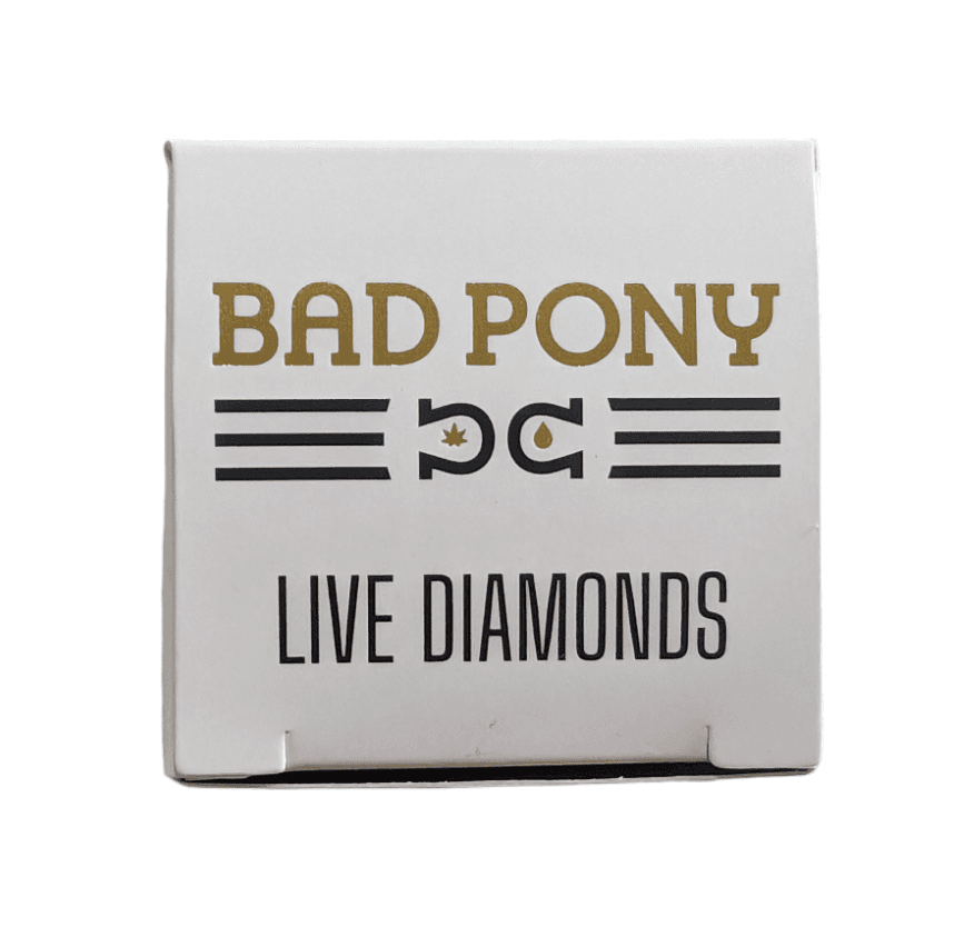 Bad Pony
