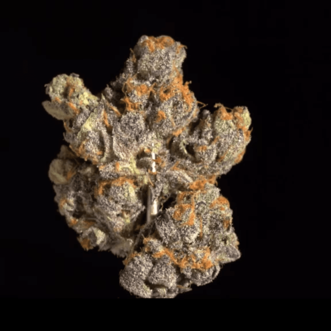 Stability Growers