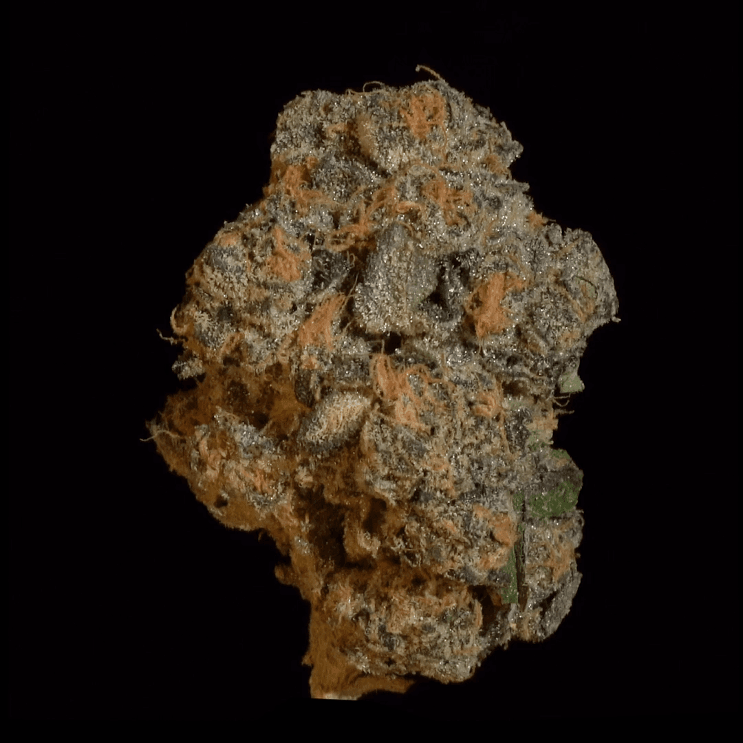 Stability Growers