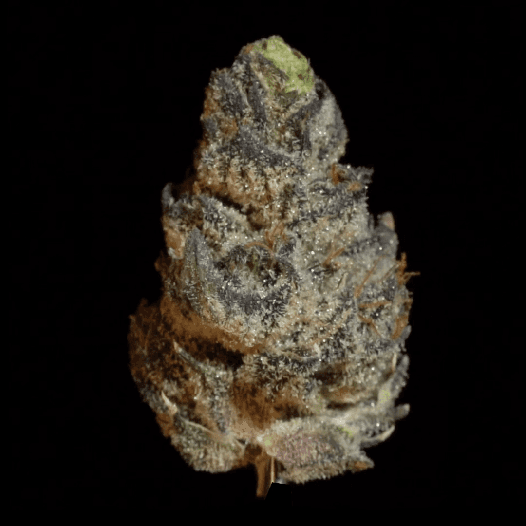 Stability Growers