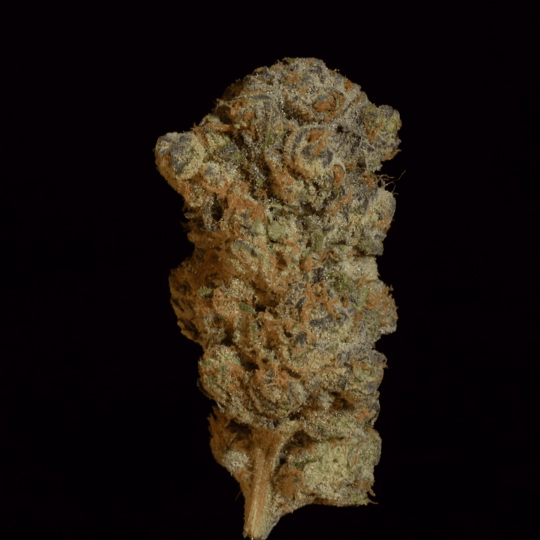 Stability Growers
