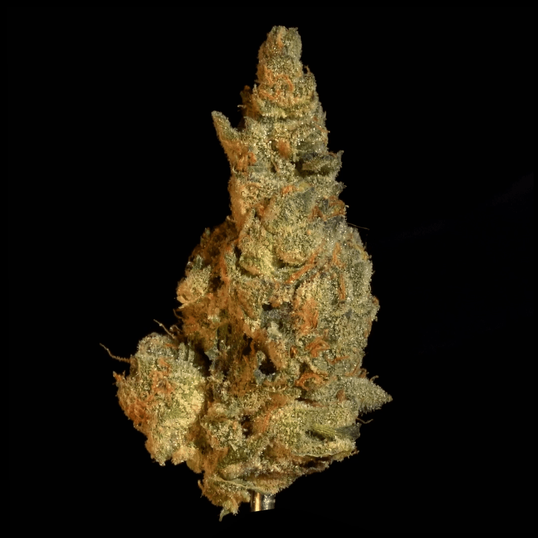 Stability Growers