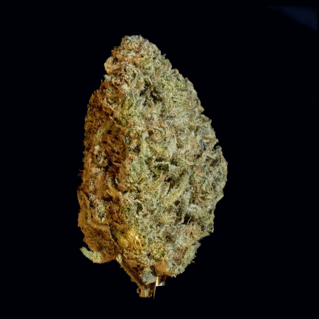Stability Growers