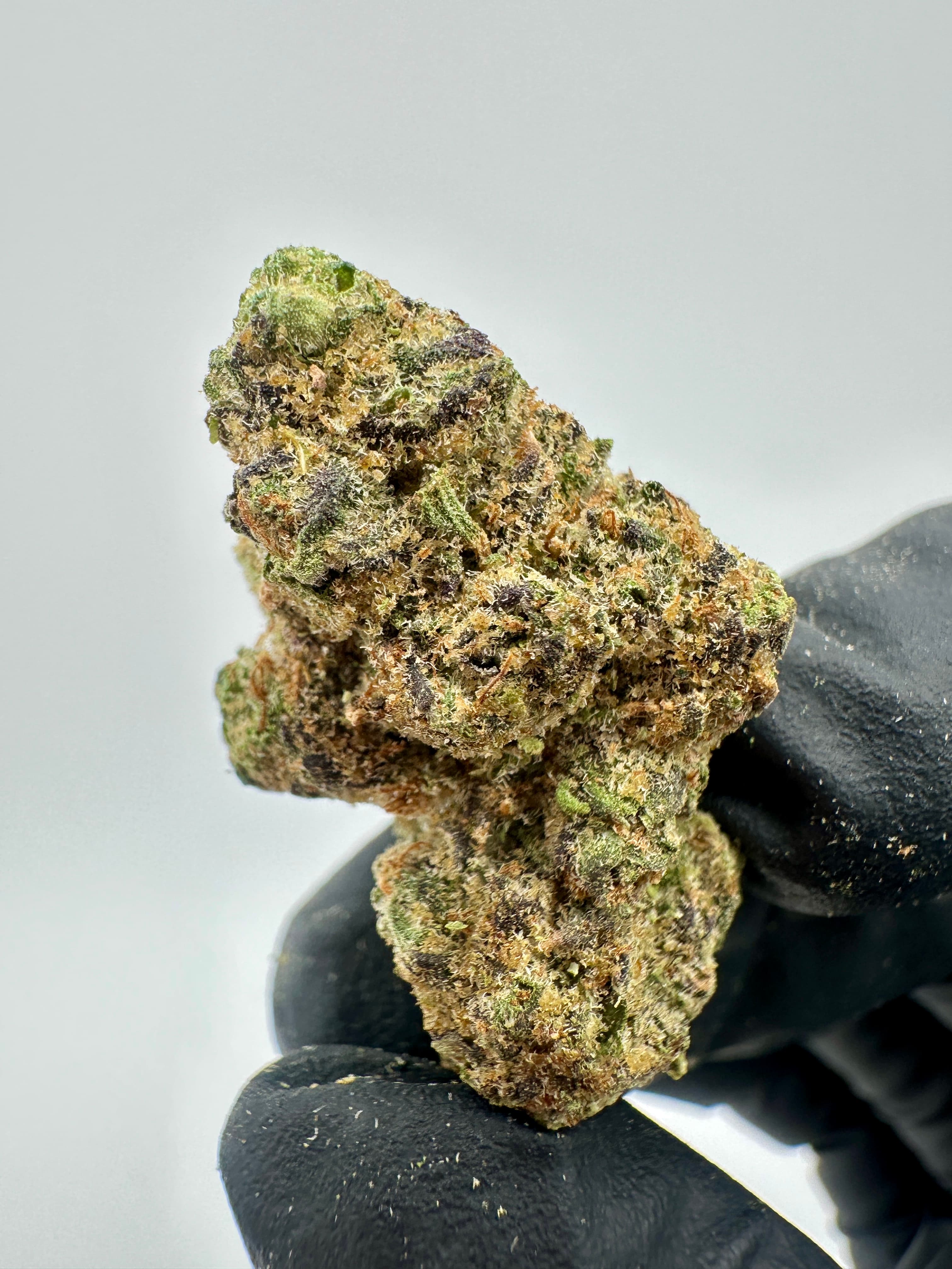 Big Sioux Bud Apple Tartz