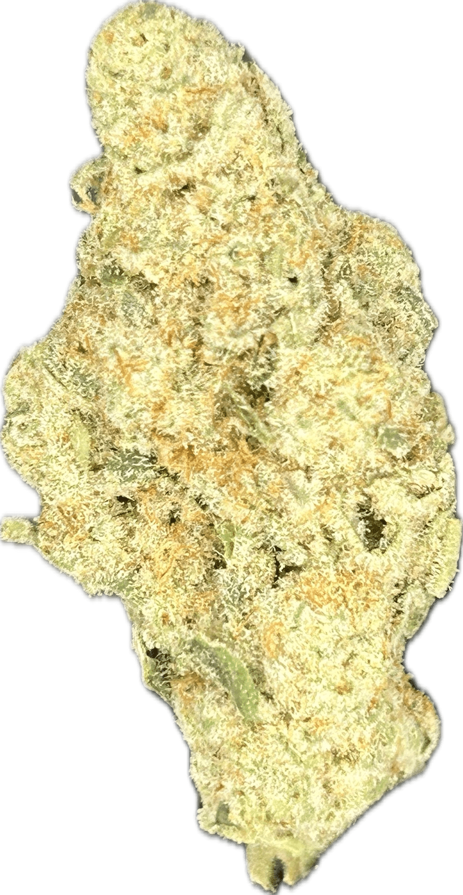 Big Sioux Bud Cap Junky