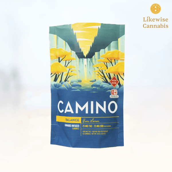 Camino 40-PACK 1000MG 1:1 YUZU LEMON GUMMIES - CAMINO