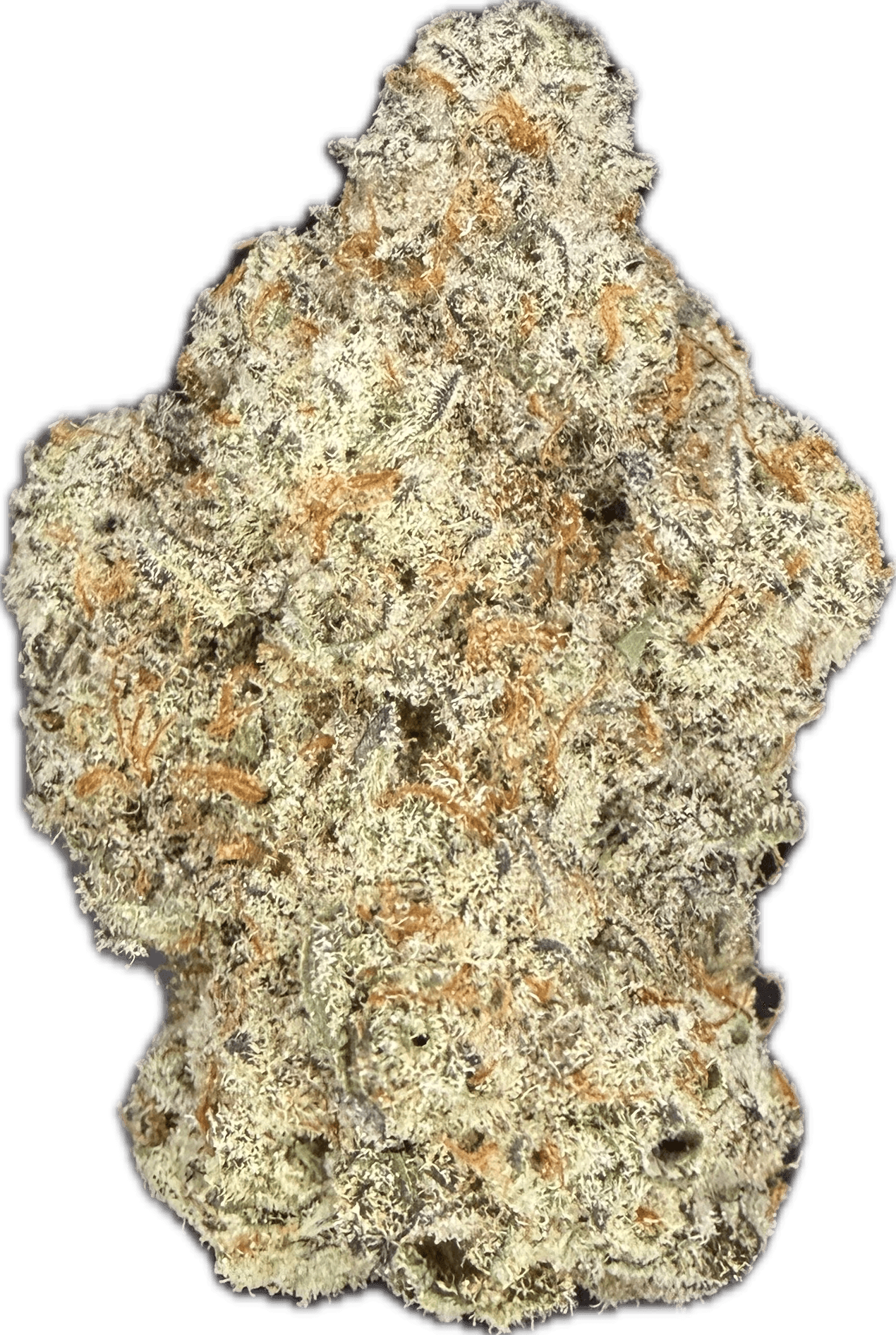 Pure Bliss Lemon Oreoz