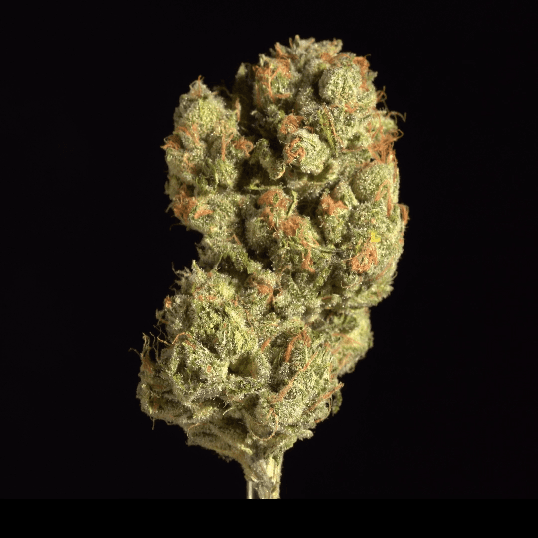 Stability Growers