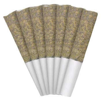Nugz Nugz Florida Oranges (Pre-Roll) / 3.5g / Pre-Roll Packs (7) / Hybrid