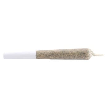 7ACRES 7Acres White Widow (Pre-Roll) / 1g / Pre-Roll Packs (2) / Sativa
