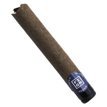 FIGR FIGR Jungle Fumes Glass Tip Blunt (Pre-Roll) / 1g / Blunts / Sativa