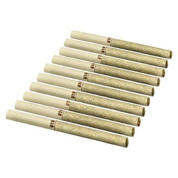 Back Forty Back Forty Backpackers Chemzilla (Pre-Roll) / 7.5g / Pre-Roll Packs (10) / Indica
