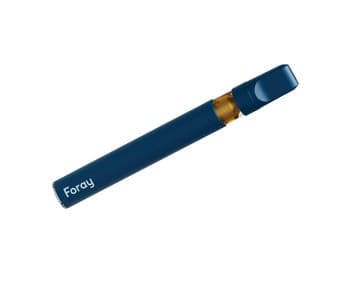 Foray Foray Mango Haze Balanced Disposable (Vape Pen) / 0.3g / Disposable Vape Pen / Hybrid