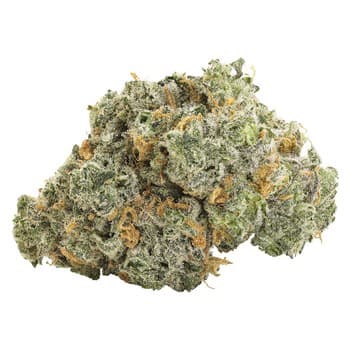 Big Bag O' Buds Big Bag O' Buds Blueberry Dream / 28g / Sativa