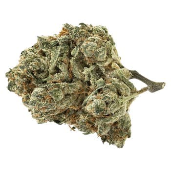 Pure Sunfarms Pure Sunfarms Alien Pebbles / 7g / Hybrid