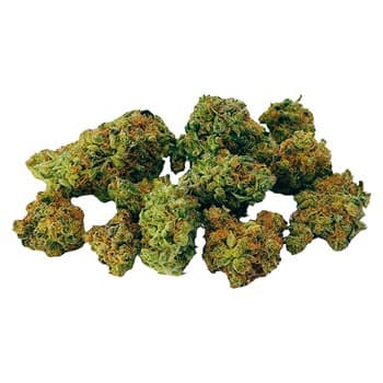 Dab Bods Dab Bods Grape Limeade Botanical Buds / 14g / Hybrid