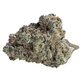 Soar Soar Brain Cake / 7g / Whole Flower / Sativa
