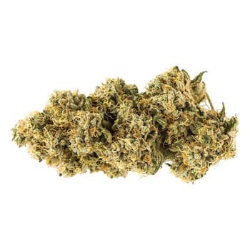 Carmel Carmel Animal Face / 7g / Sativa
