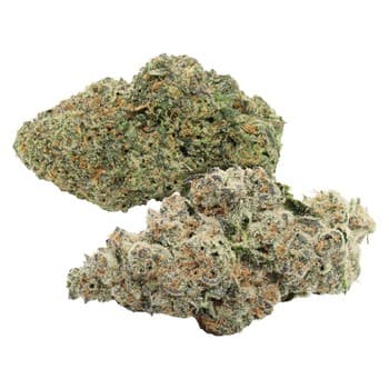 Carmel Carmel Two Pack: Permanently Jealous & Bananaconda / 7g / Whole Flower / Indica
