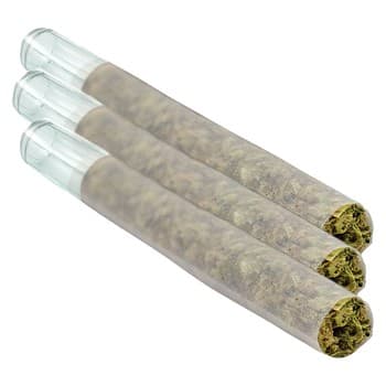 PUFFER'S PARADISE Puffer's Paradise Honah Lee Haze Glass Tip (Pre-Roll) / 1.5g / Pre-Roll Packs (3) / Sativa