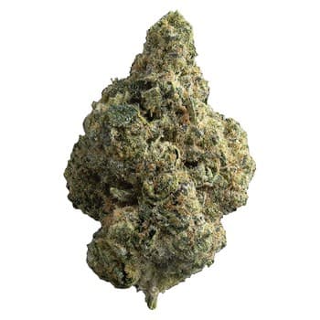 The Republic The Republic Reserve 25 Plus Indica / 28g / Indica