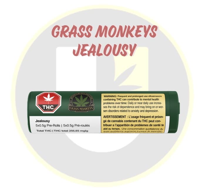 Grass Monkeys