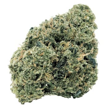 7ACRES 7Acres Northern OG Kush / 7g / Hybrid