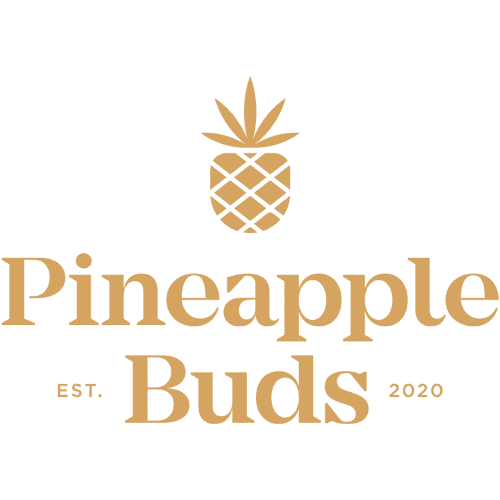 Pineapple Buds Pineapple Haze Craft Pre-Roll - 5 x .5g
