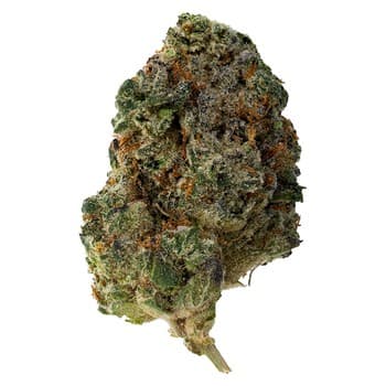 The Loud Plug The Loud Plug Waffle Cone / 28g / Indica