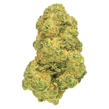 San Rafael '71 San Rafael '71 Cosmic Cream / 3.5g / Indica