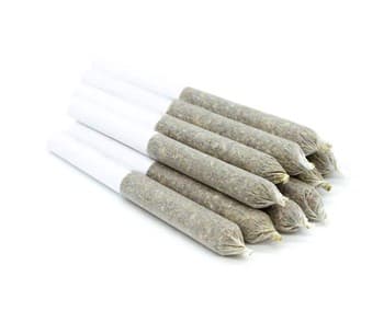 Wildlife Blackberry Gelato Pre-Roll 10-Pack | 3g