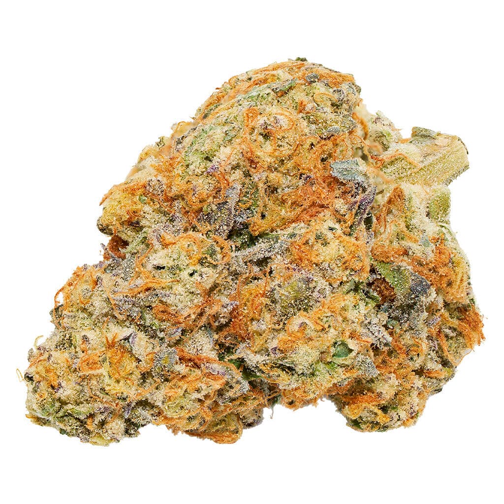 Qwest Morning Sun - 7g