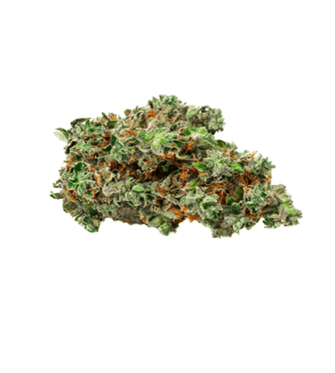 Bold Team Root Beer Float Flower - Indica