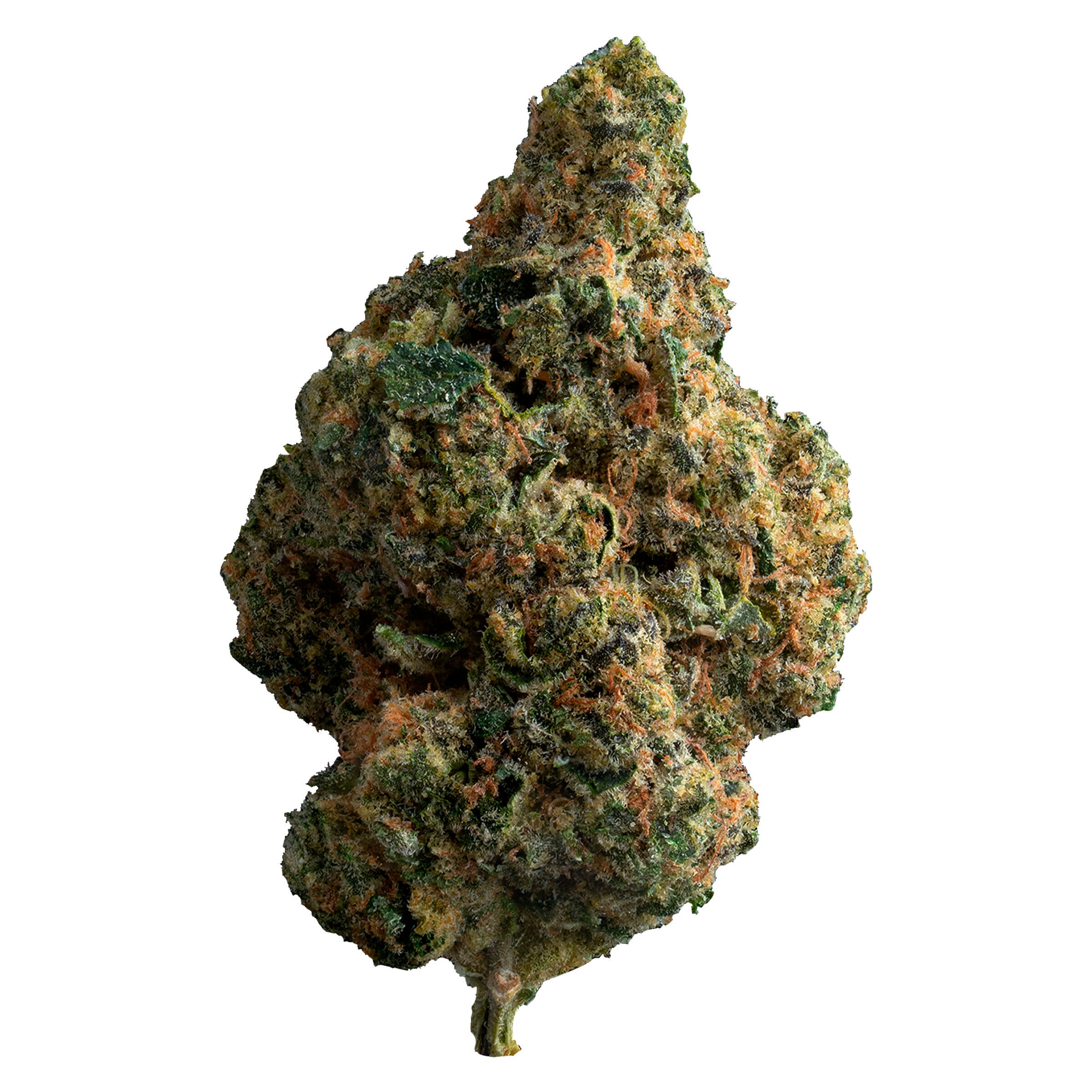 The Loud Plug Exotic Gas Flower - Indica