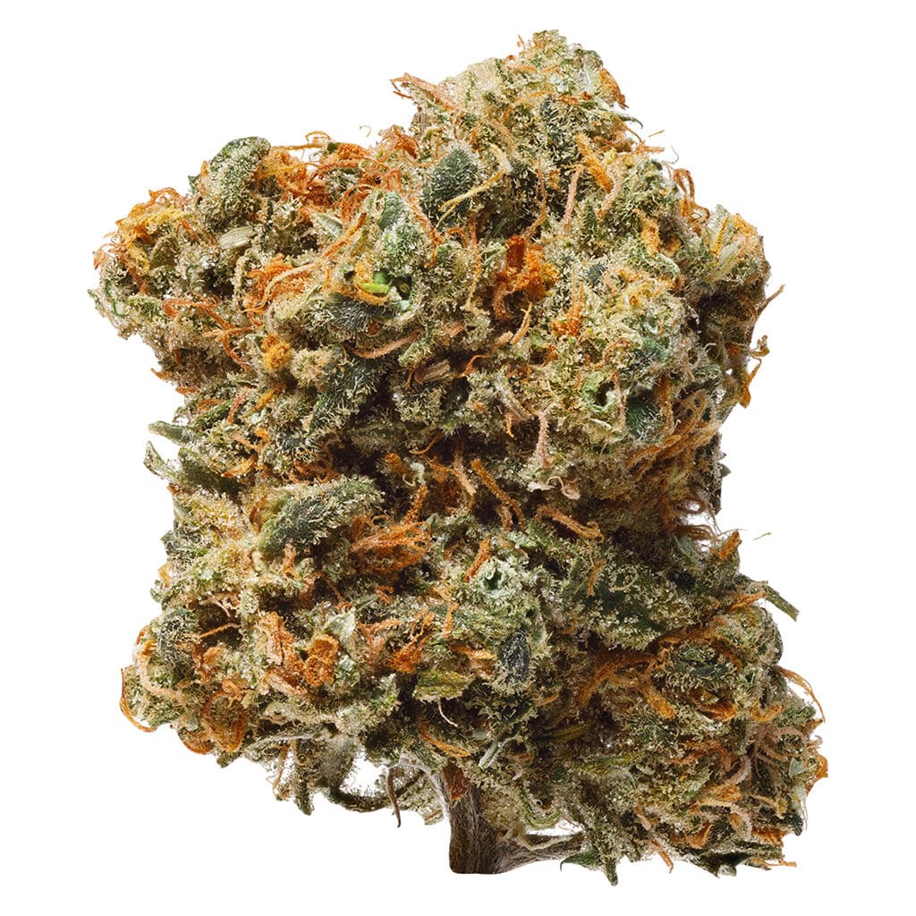 1964 Blue Dream Flower - Sativa