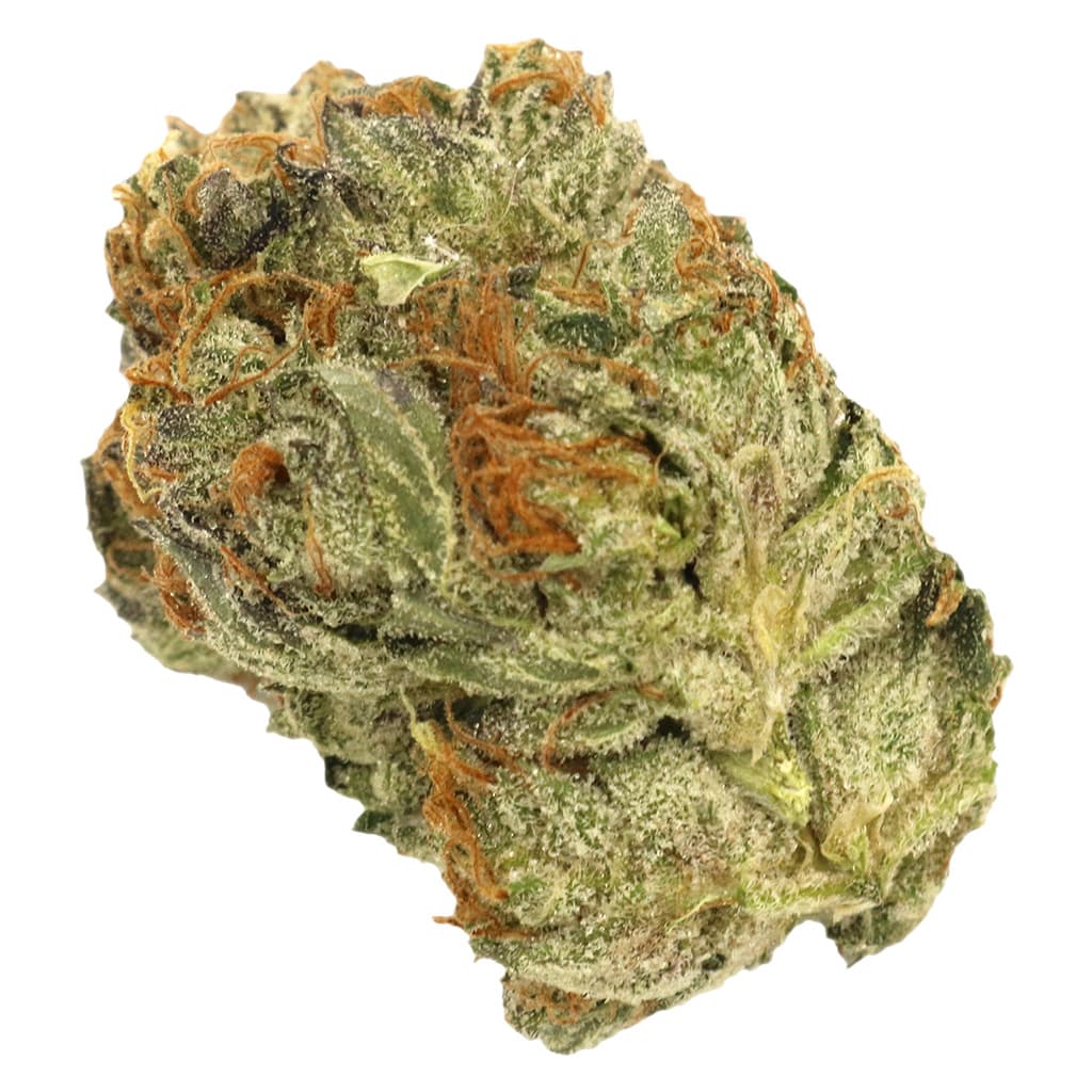 The Loud Plug Flower