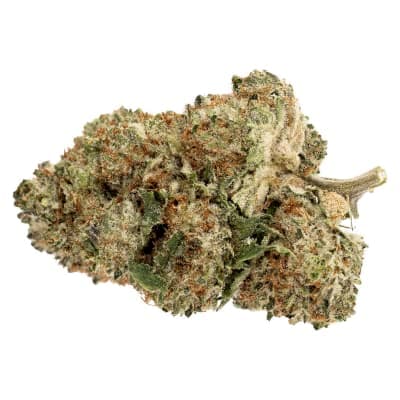 Pure Sunfarms Pink Rhino