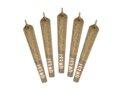 Qwest Qwest : White Walker Pre-Rolls (5x0.5g)