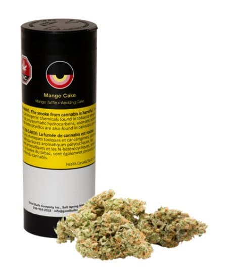 Good Buds Mango Cake