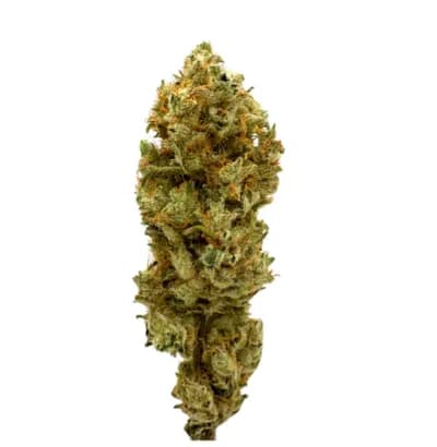 BC Weed Co. HONEY BANANAS