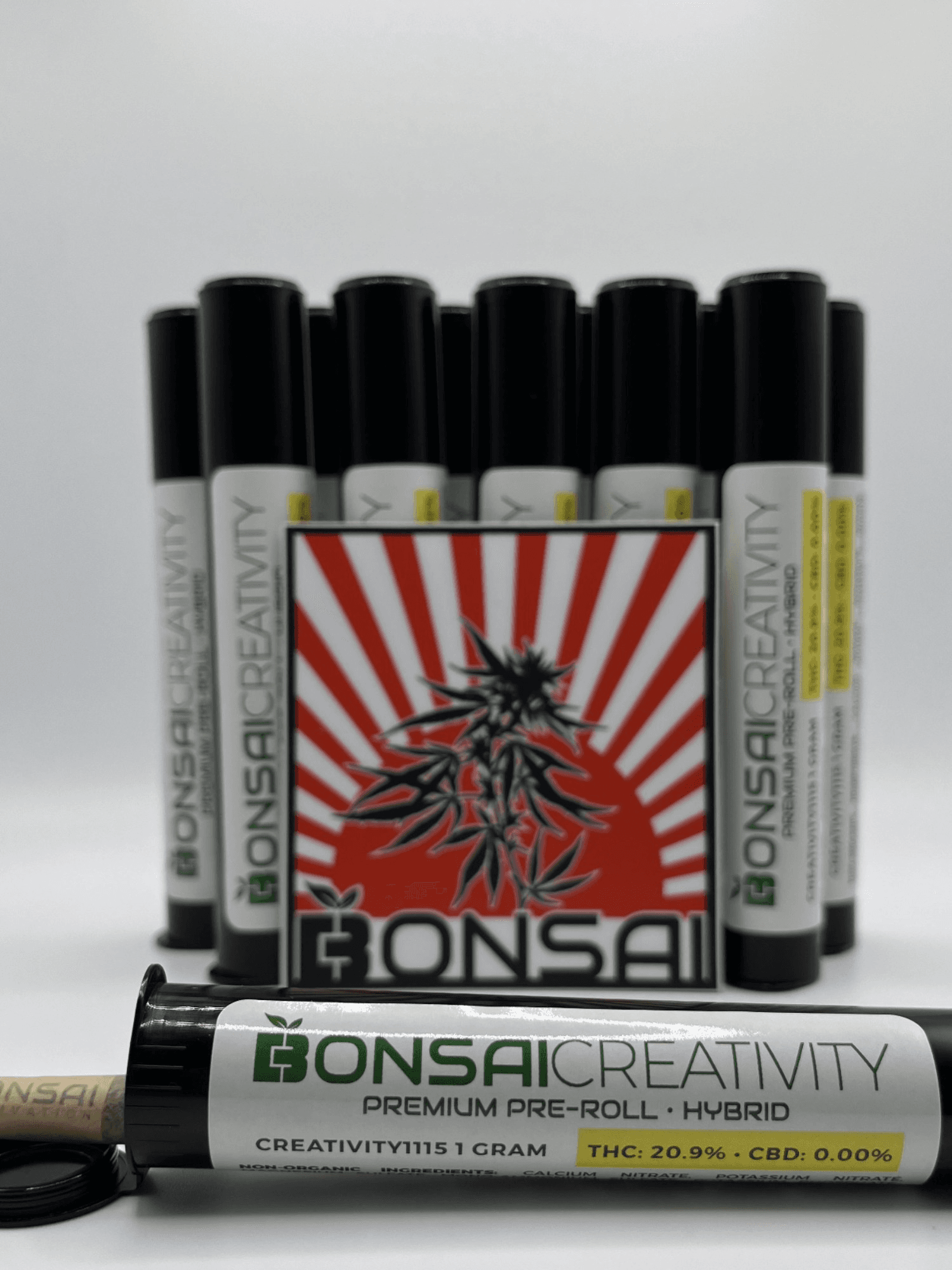 Bonsai Creativity (H) - Pre-Roll - Bonsai