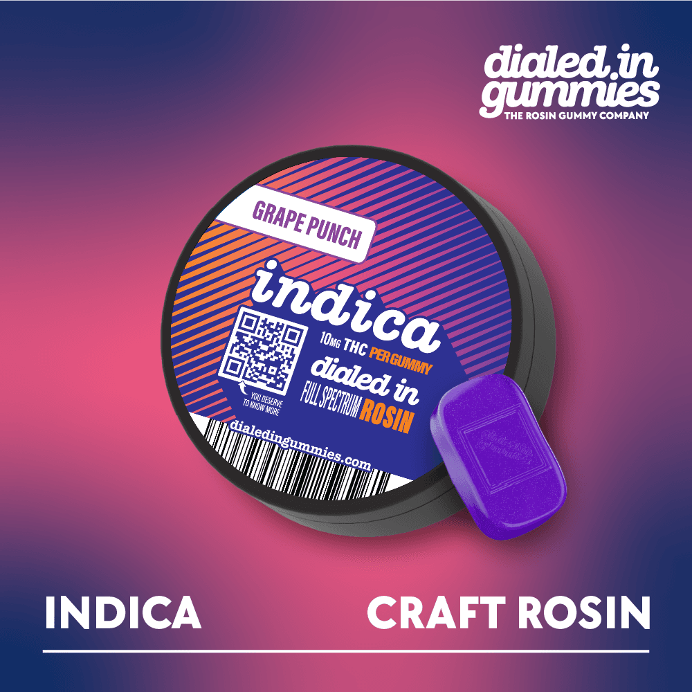Dialed In Gummies Dialed In Classics Rosin Gummies 100mg - Indica Grape Punch