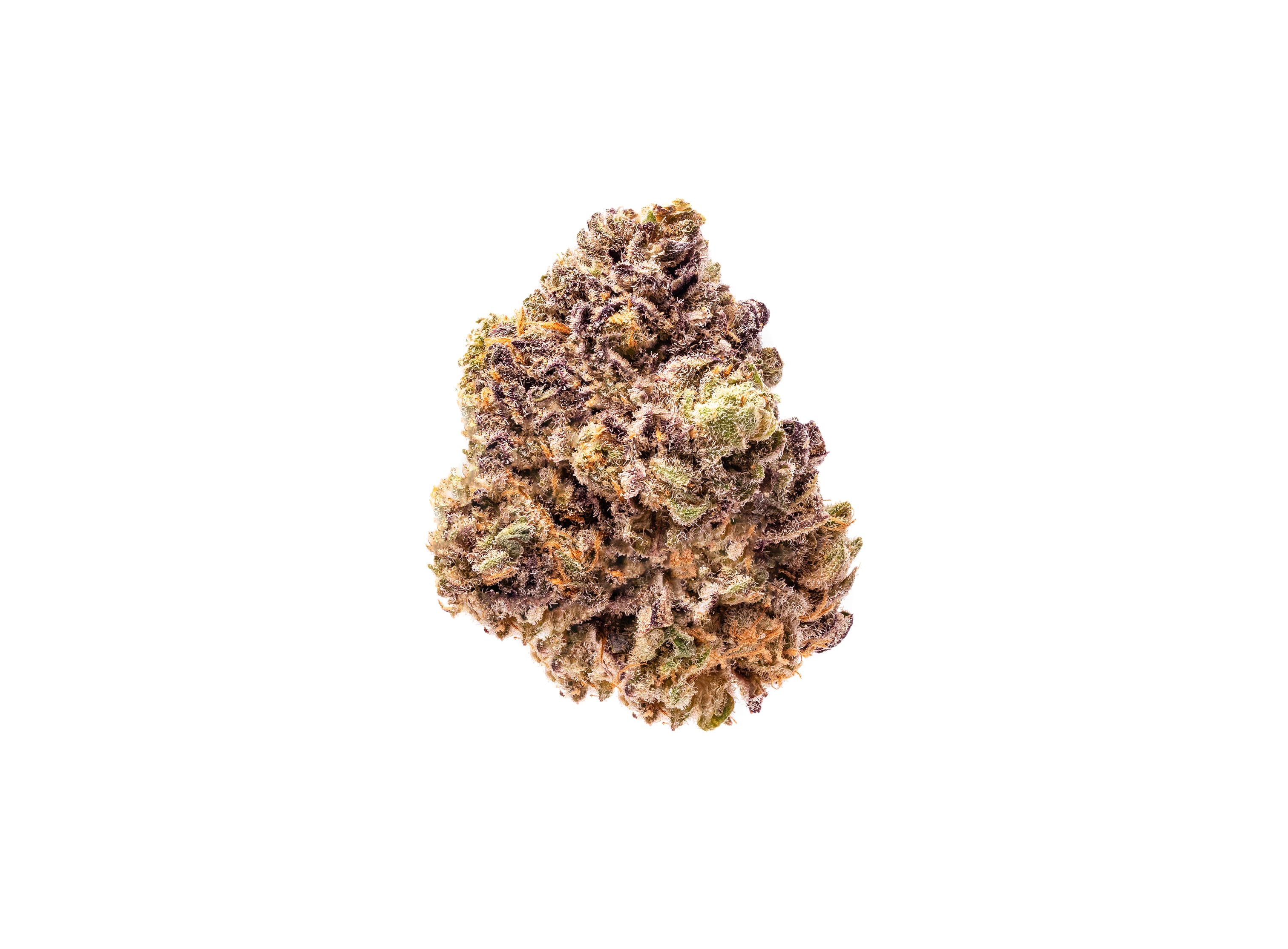 Fresh Purple Romulan - Fresh - I/H